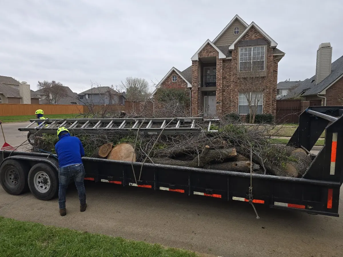 Expert Lot Clearing with proper safety equipment in Decatur